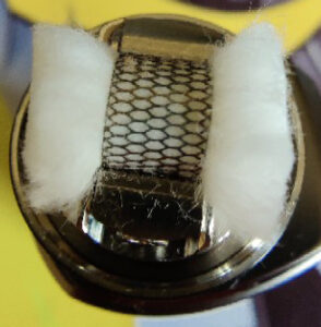 Siegfried RTA Coil and Wick